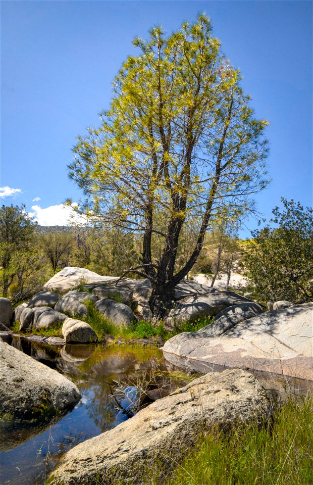 Keysville Recreation Area