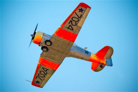 Orange flying photo