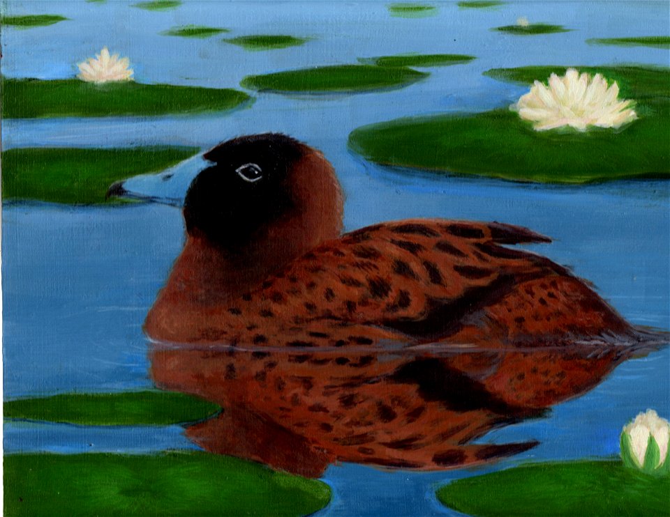 Grp 4 3rd Georgia Post Juneau 16