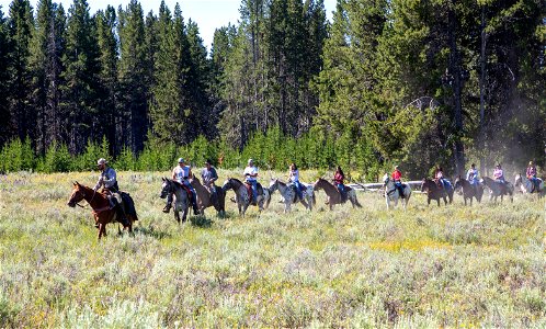 Nez Perce Appaloosa Horse Club Ride and Parade: Pelican Valley Trail photo