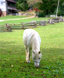 Museum of Appalachia
