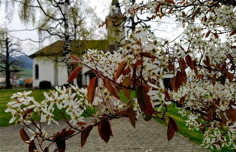 IMG_20220423_163212
