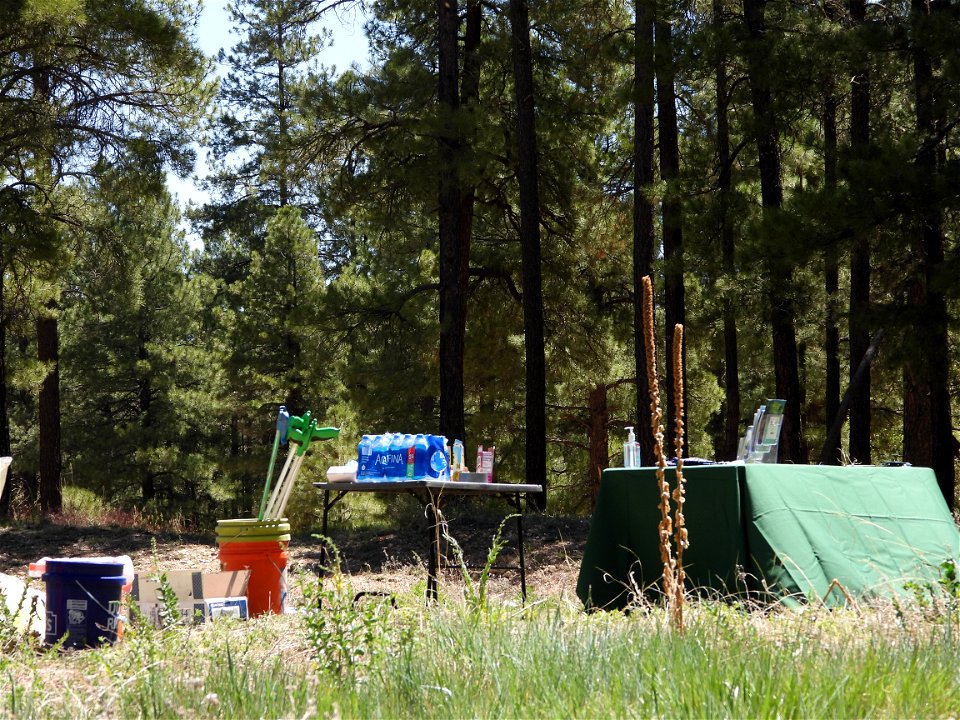 Pickin' Up in the Pines May 2022