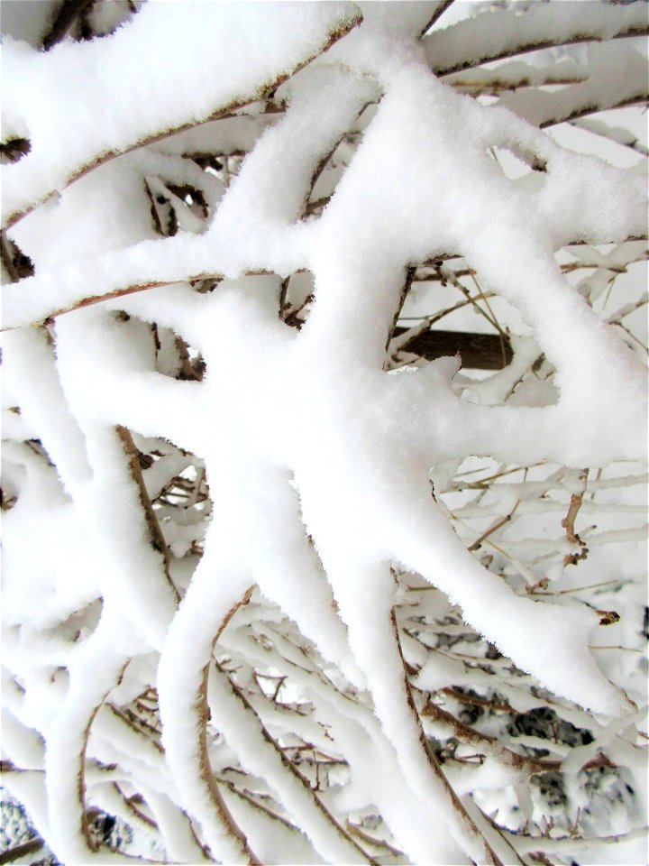 winter shapes3