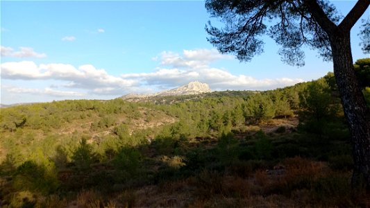 Barrage Zola