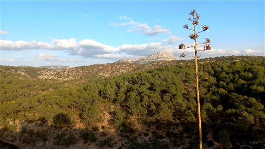 Barrage Zola
