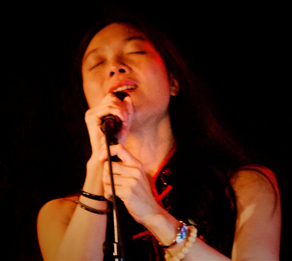 Steve Coleman and Five Elements, Schuttershof Middelburg, 30 september 2010 - Jen Shyu