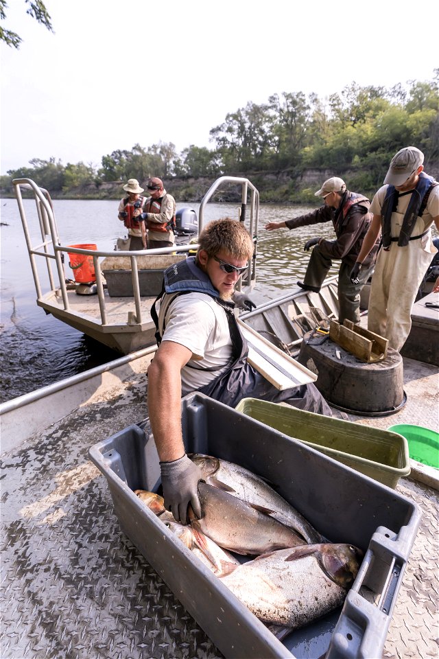 Invasive Carp Research on the James River in South Dakota. Photo: Sam Stukel (USFWS)