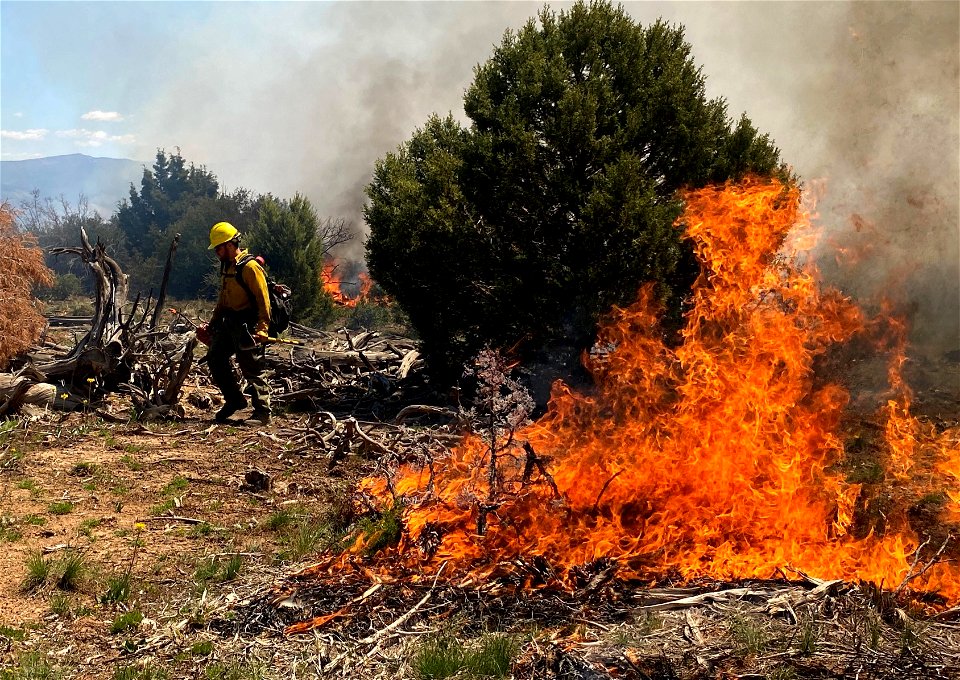 Firefighter on 2021 Sims Mesa Prescribed Fire