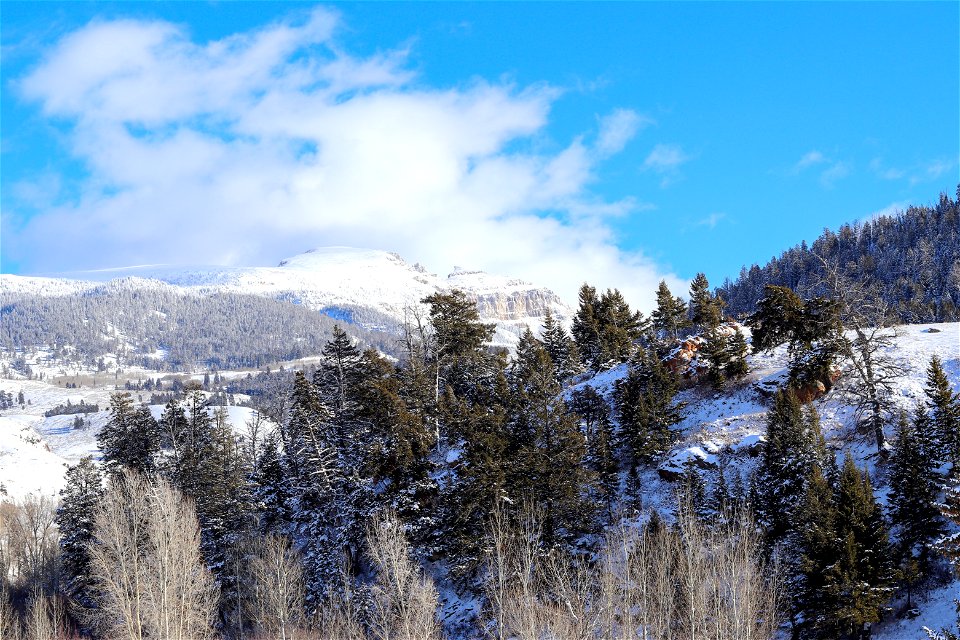 Morning View on the Refuge