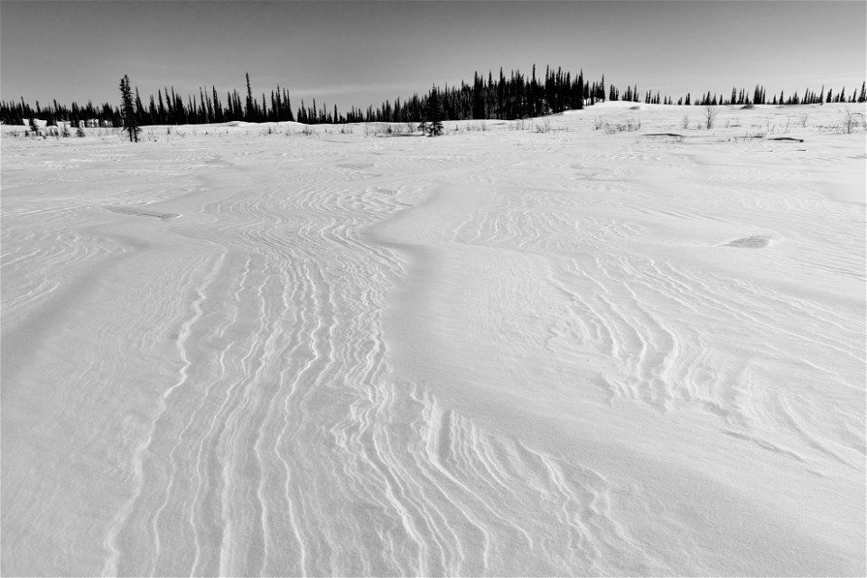 Textures of snow over glacial sand dunes at Selawik National Wildlife Refuge