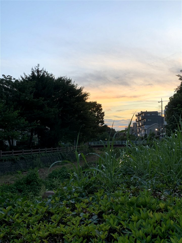 Kurome River in Kanayamacho, Higashikurume-shi
