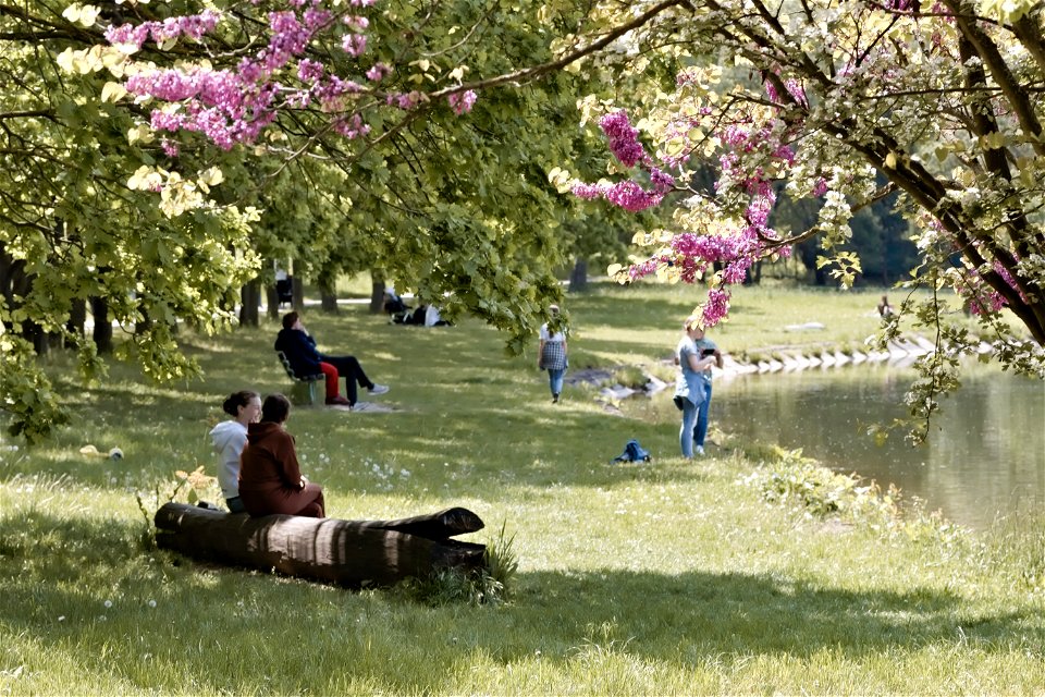 Chisinau Botanical Garden