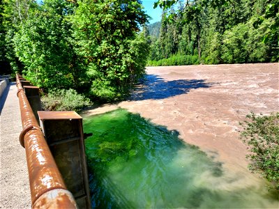 Sauk River at Clear Creek confluence, Mt. Baker-Snoqualmie National Forest. Photo by Anne Vassar June 28, 2021. photo