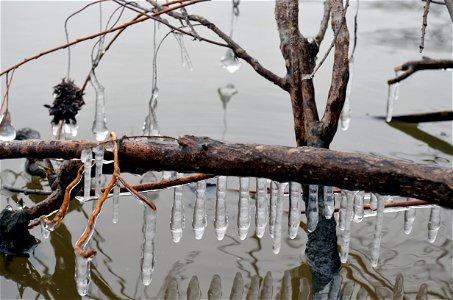 Chiming Ice photo