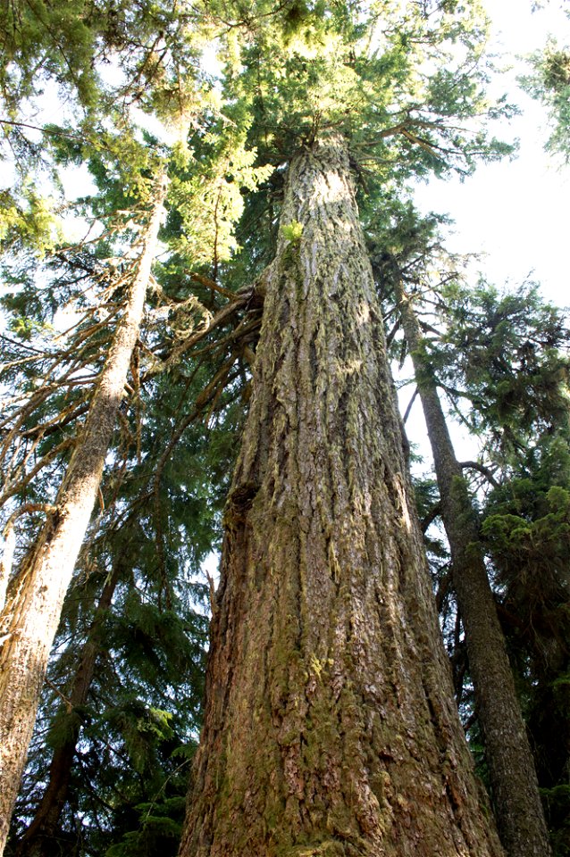 untitled-1345jpg_49364599006_o