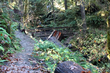 img_2016_trail-bridge2_west-approach1jpg_49364712097_o