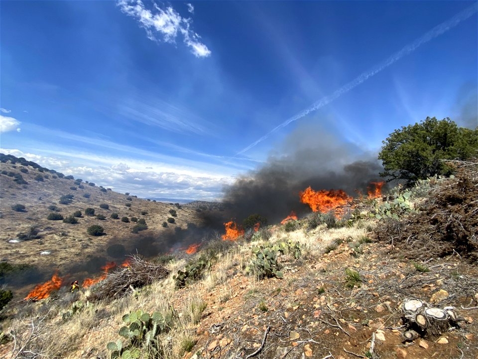 Black Hills Wash Prescribed Burn