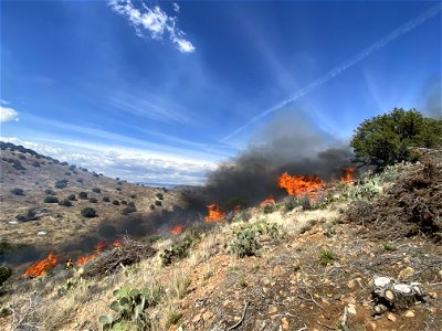 Black Hills Wash Prescribed Burn photo