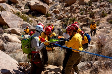 Joshua Tree Search and Rescue