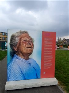 Tentoonstelling Oud Roze Roermond