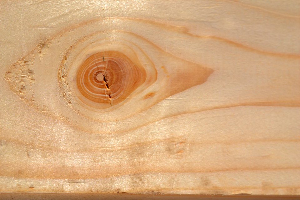 Wood photo