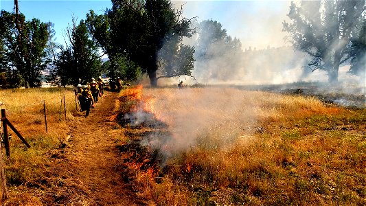 2021 BLM Fire Employee Photo Contest Category: Crews photo