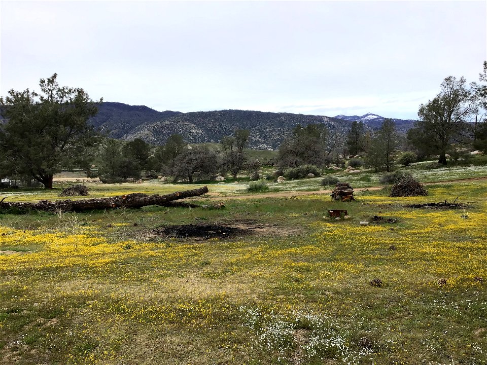 Lake Isabella Prescribed Burn Piles