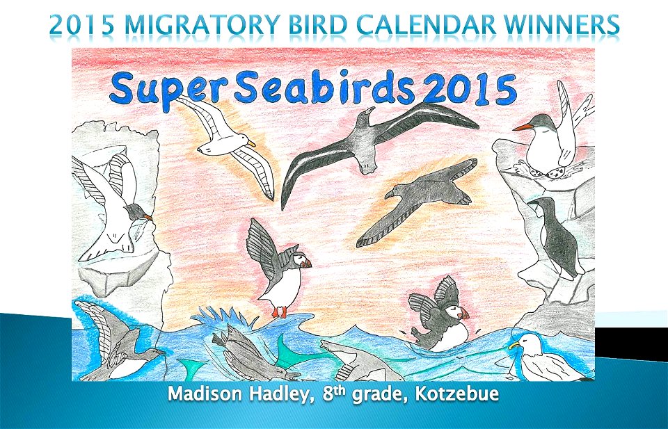 2015 Migratory Bird Calendar Winner