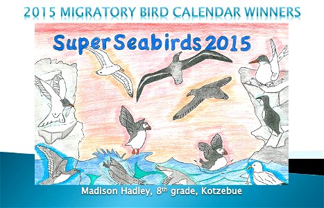 2015 Migratory Bird Calendar Winner photo