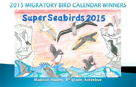 2015 Migratory Bird Calendar Winner