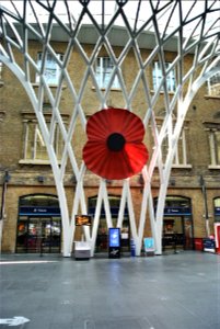 Poppy at London Kings Cross Station.