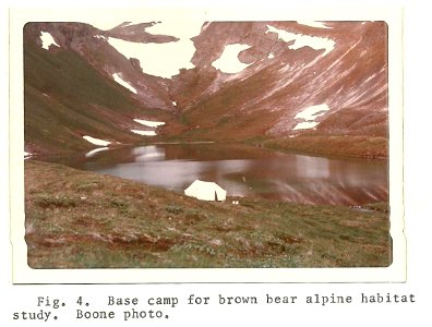 (1974) Alpine Base Camp photo