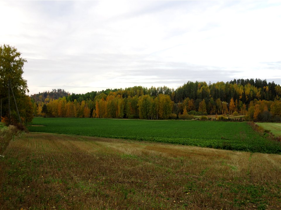 Maisema Laurinmäeltä Janakkalasta