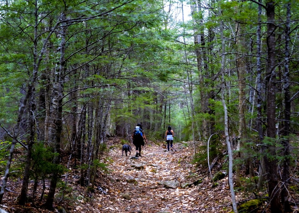 NancyCascades-WhiteMountain-May2021-002