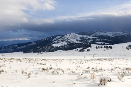 Cloudy, winter day in Lamar Valley photo