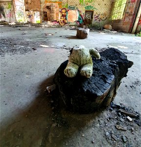 Urbex voormalige dakpannenfabriek Brüggen, Falzziegel Werk Brimges in Brüggen