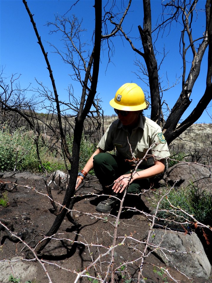 Fossil Creek Soil Monitoring