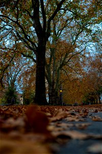 _LON0821