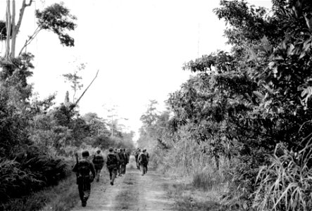 SC 270887 - The start of the march of 24th Div. to Digos, Mindanao, on the next-to-last day of the dash.