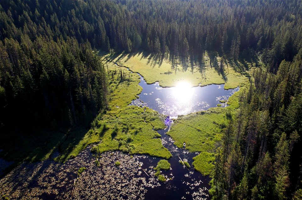 Mt. Hood National Forest Trillium Lake