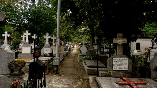 DSC06613