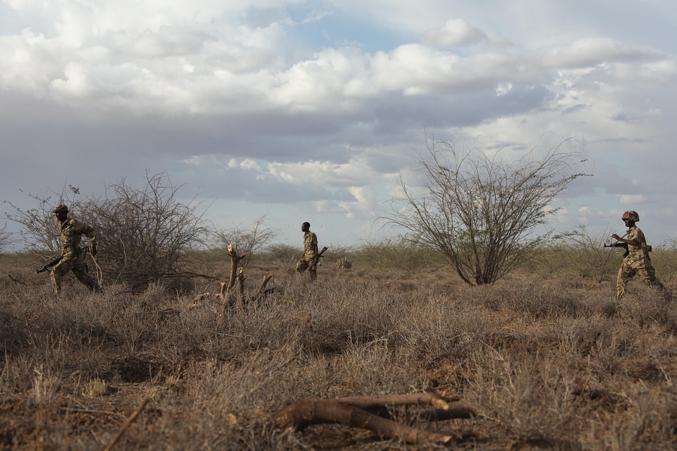 Landscape wildlife grassland