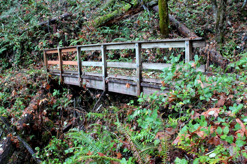 img_2191_trail-bridge-16-miles-from-calf-ck-th-from-west-approachjpg_49364048828_o