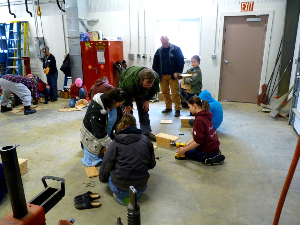 Bird Nest Box Workshop