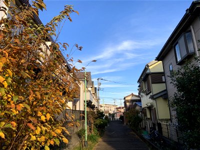 Saiwaicho in Higashikurume-shi photo