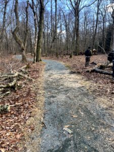 Limberlost After (1)