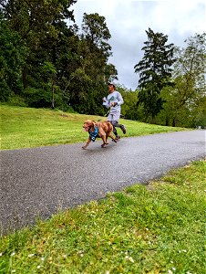 PXL_20220612_185225238_2