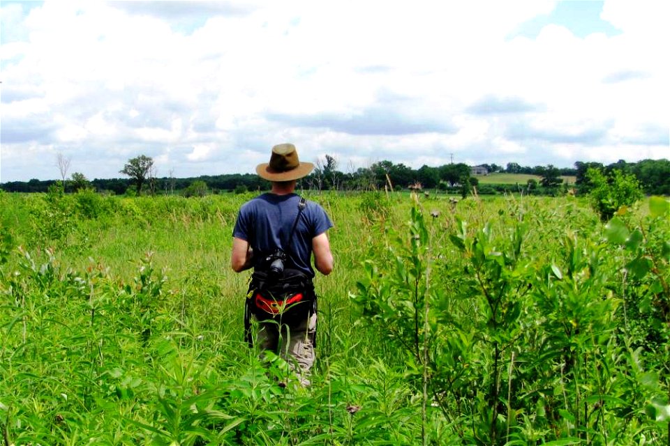 Searching for Endangered Butterflies