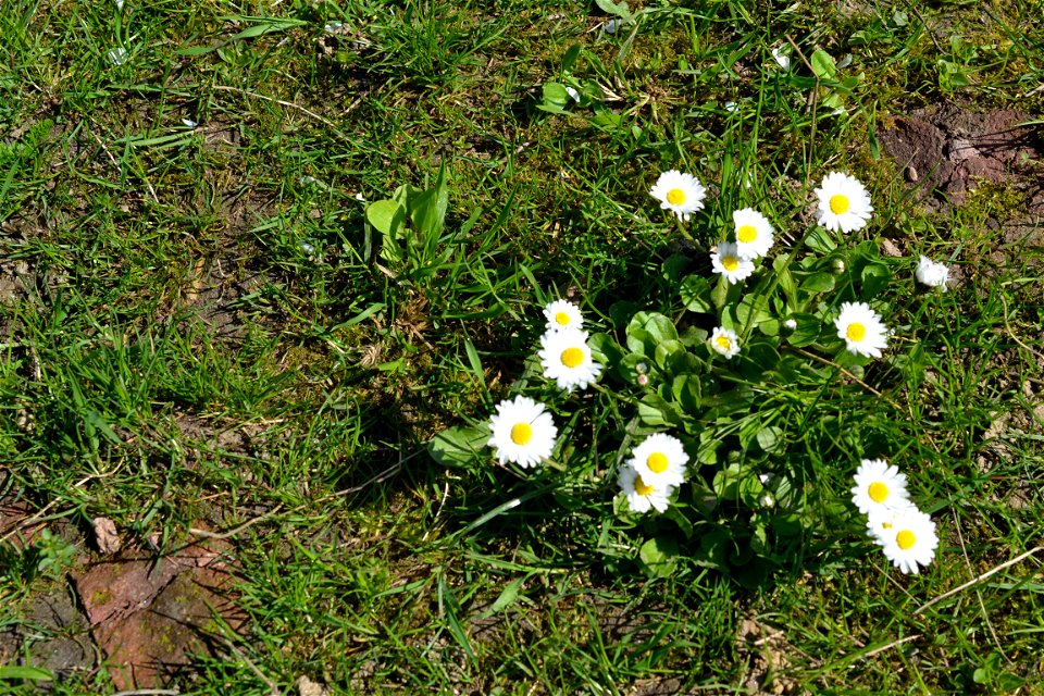 Spring ,April 2023